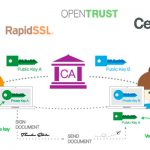 Ca bundle  چیست؟