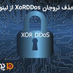 نحوه حذف تروجان XoRDDos از لینوکس