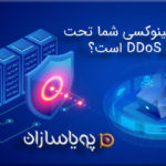 آیا سرور لینوکسی شما تحت حمله DDoS است؟